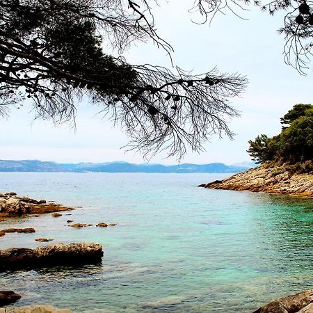 Apartment Marija Mljet 4 Sobra Exteriér fotografie